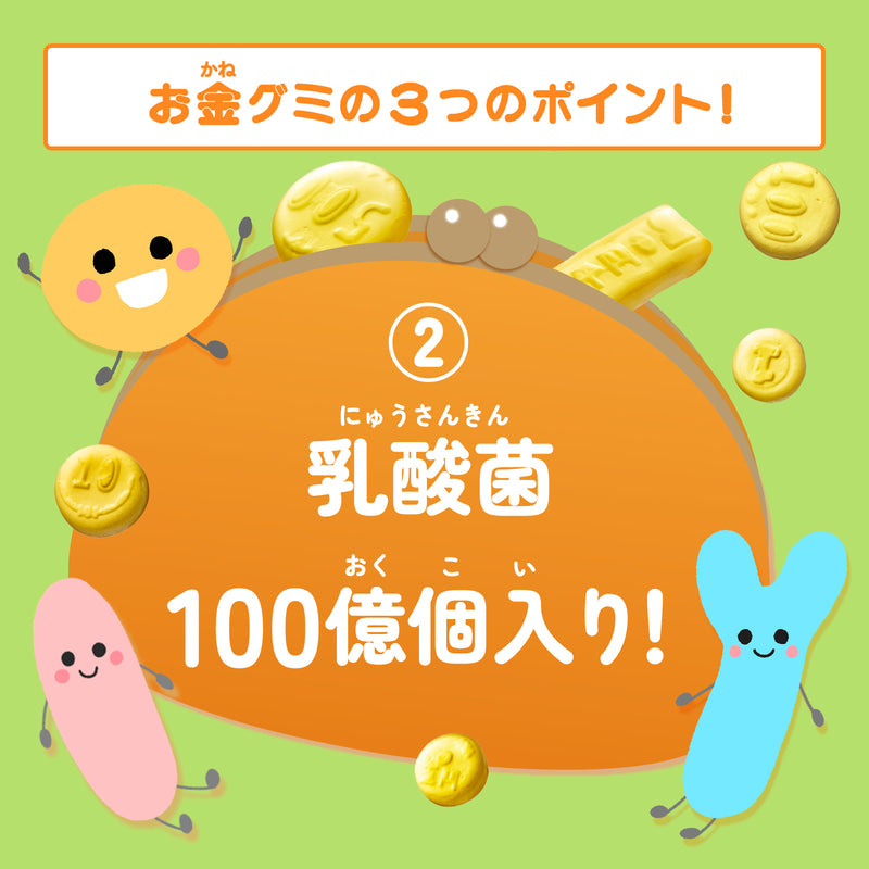 お金グミ（おかねグミ）30個セット